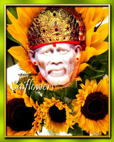 sunflowers-sri-sathya-sai-baba-RPJPSL-THANKS-saiflowers-saifollowers
