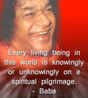 Every-living-being-on-a-spiritual-pilgrimage-sai-baba