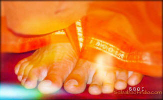 lotus feet of swami - sathyasai