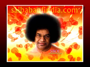 sboi-petals-of-love-sai-baba-photo-wallpaper