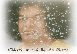 Vibhuti on Sai Baba's Photo