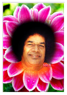 My Swami - Sri Sathya Sai Baba