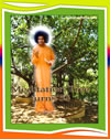 Meditation-Tree-puttaparthi-sari-sathya-sai-baba